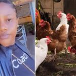 Lady returns from Dubai to start poultry farm in Nigeria Return To Poultry From Dubai