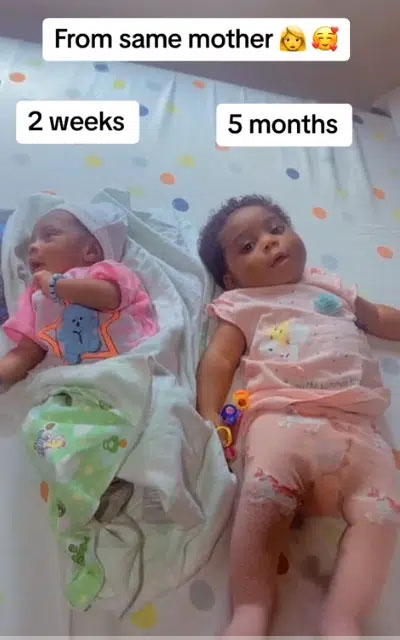 2 Months 5 Months Babies