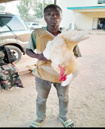 Man Sleeps With Cock